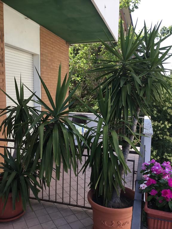 רימיני Hotel Mirella מראה חיצוני תמונה